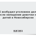 СК возбудил уголовное дело после нападения девочки на детей в Новосибирске