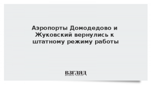 Аэропорты Домодедово и Жуковский вернулись к штатному режиму работы