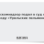Роскомнадзор подал в суд на звезду «Уральских пельменей»
