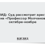 МИД: Суд рассмотрит арест судна «Профессор Молчанов» в октябре-ноябре