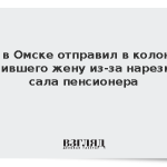 Суд в Омске отправил в колонию убившего жену из-за нарезки сала пенсионера