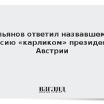Ульянов ответил назвавшему Россию «карликом» президенту Австрии