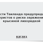 Власти Таиланда предупредили туристов о риске заражения крысиной лихорадкой