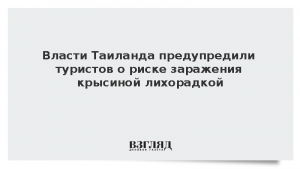 Власти Таиланда предупредили туристов о риске заражения крысиной лихорадкой