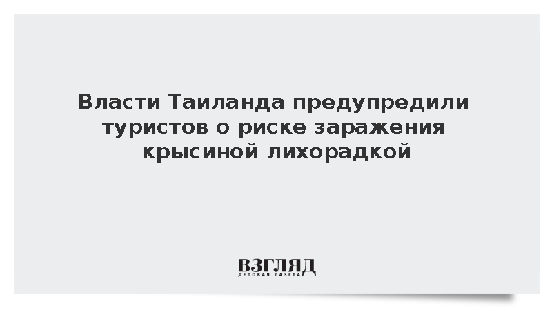 Власти Таиланда предупредили туристов о риске заражения крысиной лихорадкой