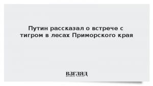 Путин рассказал о встрече с тигром в лесах Приморского края