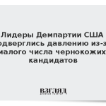 Лидеры Демпартии США подверглись давлению из-за малого числа чернокожих кандидатов