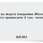 Число жертв эпидемии Эболы в Конго превысило 4 тыс. человек