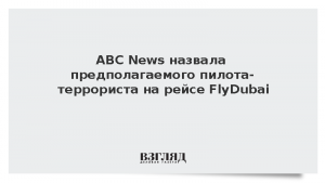 ABC News назвал предполагаемого пилота-террориста на рейсе FlyDubai
