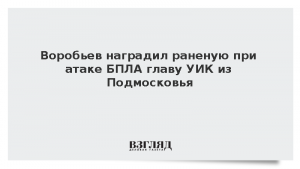 Воробьев наградил раненую при атаке БПЛА главу УИК из Подмосковья