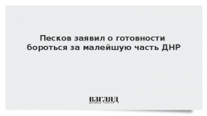 Песков заявил о готовности бороться за малейшую часть ДНР