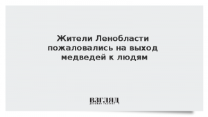Жители Ленобласти пожаловались на выход медведей к людям