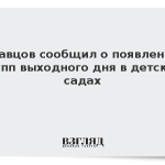 Кравцов сообщил о появлении групп выходного дня в детских садах