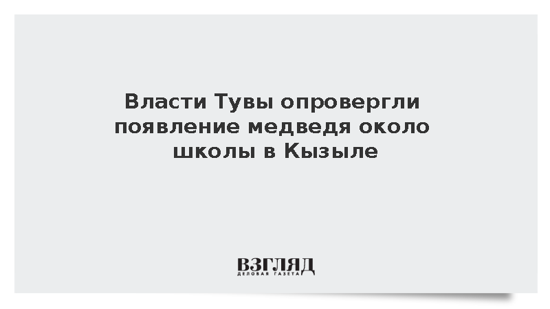 Власти Тувы опровергли появление медведя около школы в Кызыле