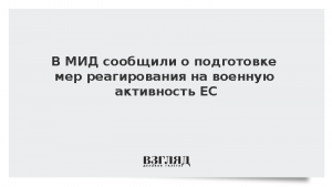 В МИД сообщили о подготовке мер реагирования на военную активность ЕС