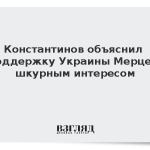 Константинов объяснил поддержку Украины Мерцем шкурным интересом