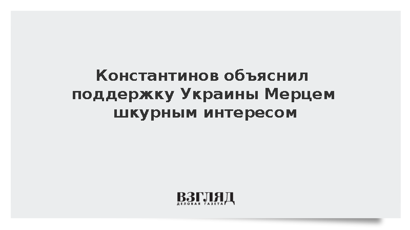 Константинов объяснил поддержку Украины Мерцем шкурным интересом