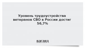 Уровень трудоустройства ветеранов СВО в России достиг 56,7%