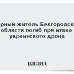 Мирный житель Белгородской области погиб при атаке украинского дрона