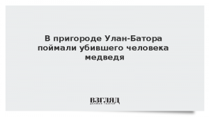 В пригороде Улан-Батора поймали убившего человека медведя