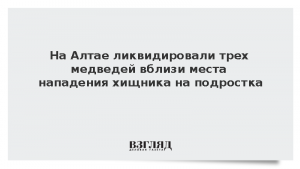 На Алтае ликвидировали трех медведей вблизи места нападения хищника на подростка