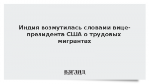 Индия возмутилась словами вице-президента США о трудовых мигрантах