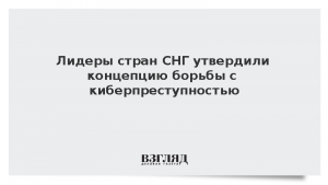 Лидеры стран СНГ утвердили концепцию борьбы с киберпреступностью