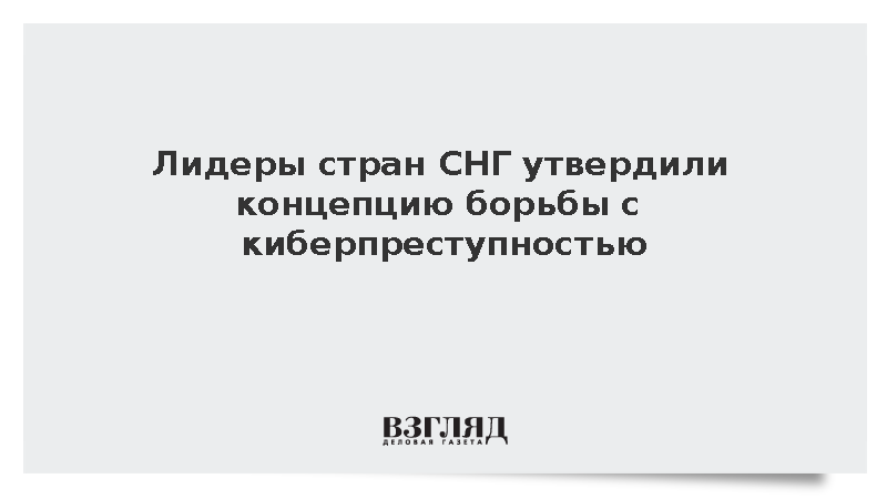 Лидеры стран СНГ утвердили концепцию борьбы с киберпреступностью