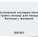 В Московском зоопарке начали строить вольер для панды Катюши с женихом
