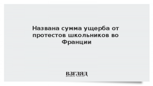 Названа сумма ущерба от протестов школьников во Франции