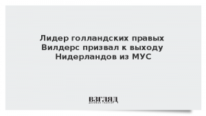 Лидер голландских правых Вилдерс призвал к выходу Нидерландов из МУС