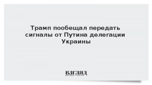 Трамп пообещал передать сигналы от Путина делегации Украины