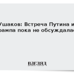 Ушаков: Встреча Путина и Трампа пока не обсуждалась