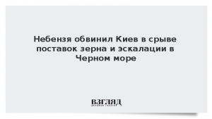 Небензя обвинил Киев в срыве поставок зерна и эскалации в Черном море