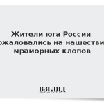 Жители юга России пожаловались на нашествие мраморных клопов