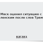 Маск оценил ситуацию с Зеленским после слов Трампа