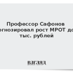 Профессор Сафонов спрогнозировал рост МРОТ до 29 тыс. рублей