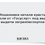 Мошенники начали красть пароли от «Госуслуг» под видом выдачи загранпаспортов