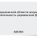 В Харьковской области вскрыли деятельность украинской ДРГ