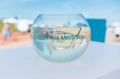 Нижнекамское предприятие СИБУРа выпустило в Каму миллионного малька стерляди