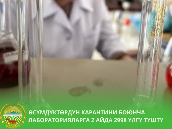 Почти 3000 образцов сельхозпродукции прошли проверку в лабораториях КР