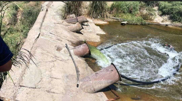 В Туркестанской области выявили более 20 нарушителей водного законодательства