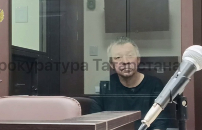 Хозяина бультерьера, изувечившего ребенка в Нижнекамске, заключили в СИЗО на два месяца